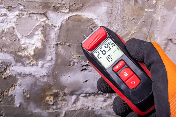 Best Residential Mold Remediation in Girard, IL