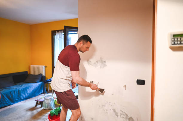 Best Black Mold Remediation in Girard, IL